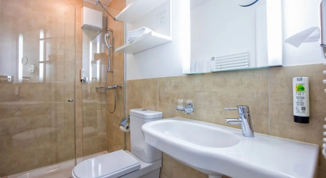 Suite Standard Hotel Oberland