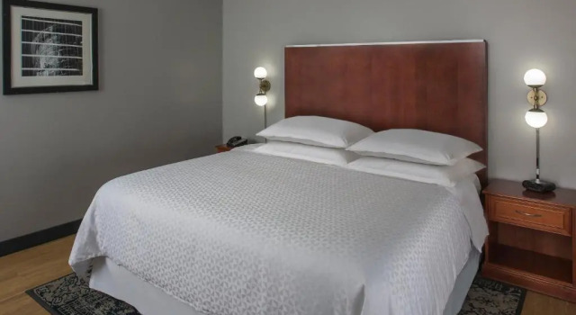Номер Business Four Points by Sheraton Houston Hobby Airport