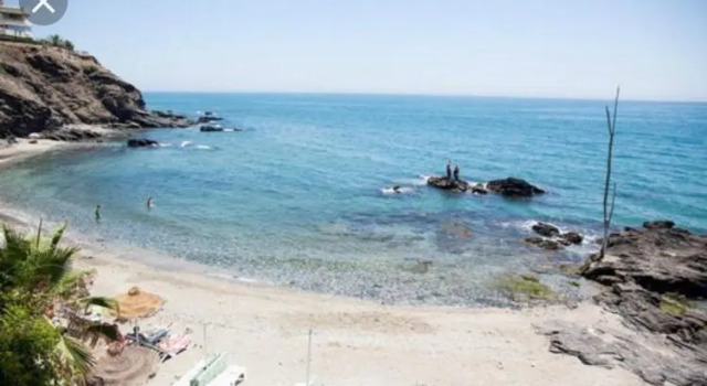 Bajo Las Palmeras