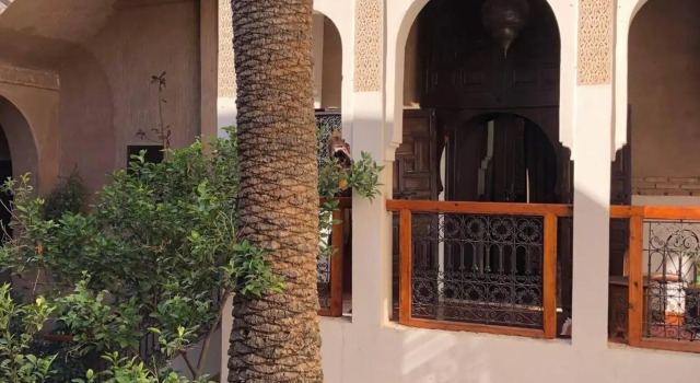 Riad Palmier