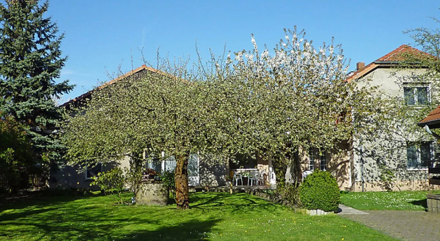 House Zerna Acireale, Rezervasyon Otel Bad Muskau otoparklı oteller, Otopark