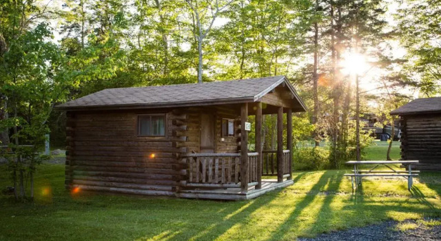 Narrows Too Camping Resort Cabin 6
