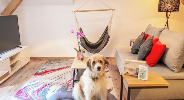 Апартаменты c 1 комнатой с балконом GRUBERS Appartments Gastein