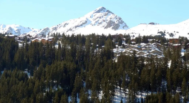 Апартаменты Ourse Bleue Appartement avec vue sur la montagne