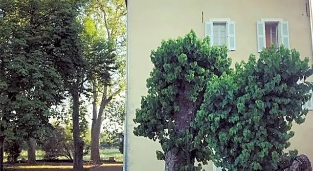 Chateau Des Salles