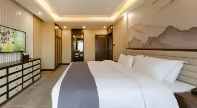 Люкс Executive Chongqing Tongcheng Zhiguang Hotel (Tongnan Branch)