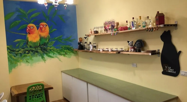 Holby No.8 Elevator Homestay