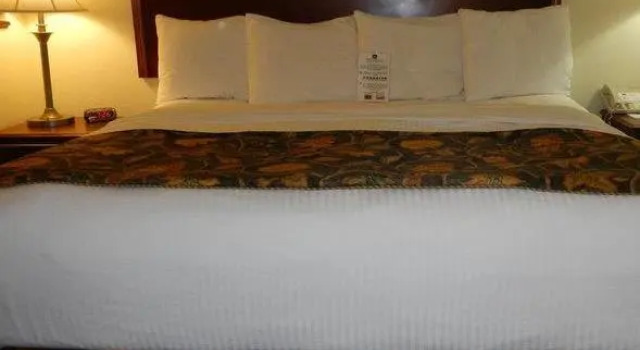 Двухместный люкс c 1 комнатой Best Western Suites near Opryland