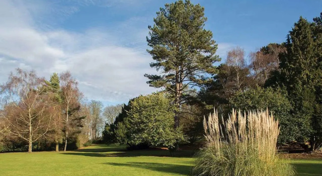 Executive- værelse Brandshatch Place & Spa