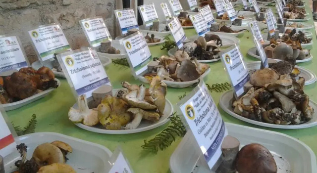 Casspessa Home, Rezervovat Hotel Fossombrone Marche