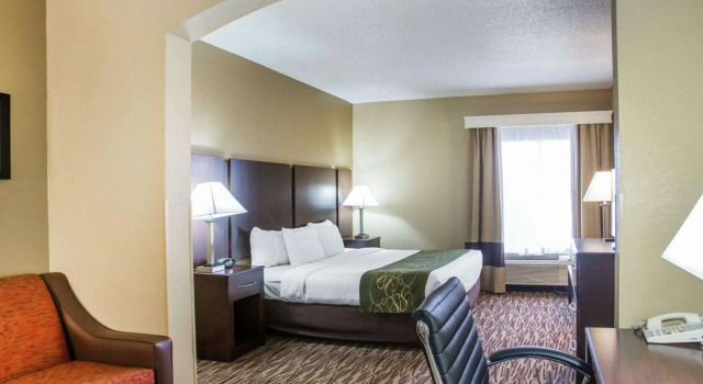 Двухместный люкс Comfort Suites Lebanon