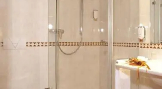 Одноместный номер Comfort Waldhotel Nachtigall