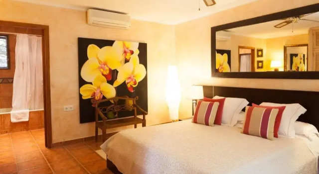 Двухместный номер Standard Hotel Rural Cas Pla