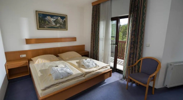 Номер Standard Hotel Vogtland