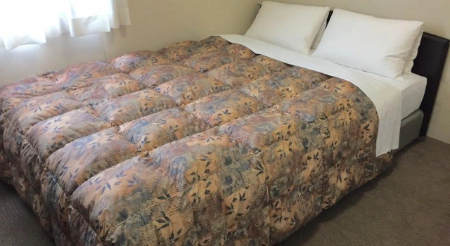 Двухместный номер Standard Hotel Crown Hills Toyama