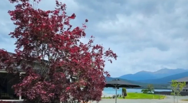 Люкс Lakeside Motel & Apartments