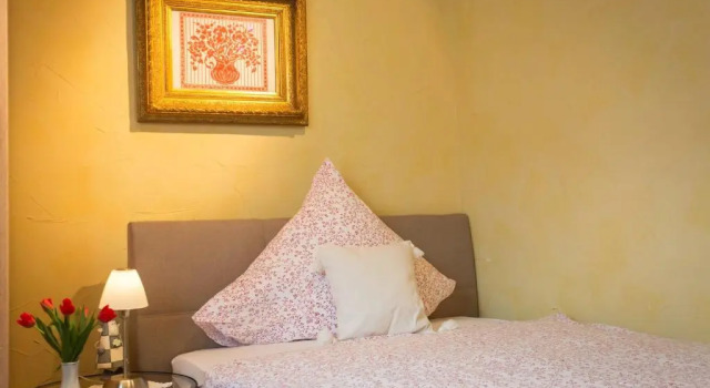 Одноместный номер Standard Hotel Weiler