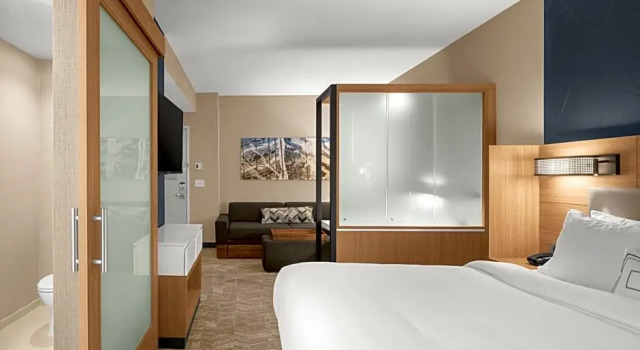 Studio SpringHill Suites by Marriott Jackson