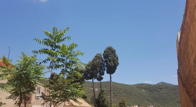 2 yatak odası aile kulübe Akram Guest House