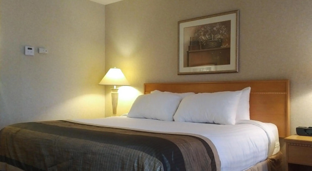 Flamingo Hotel, Rezerwuj Hotel Hotele w Southern Alberta z parkingiem, Parking