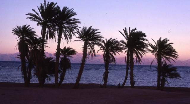 Star Of Dahab Hotel