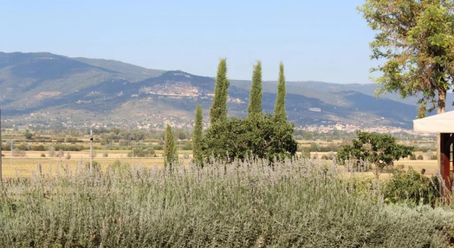 Апартаменты The Estate 1760 - Holiday in Cortona
