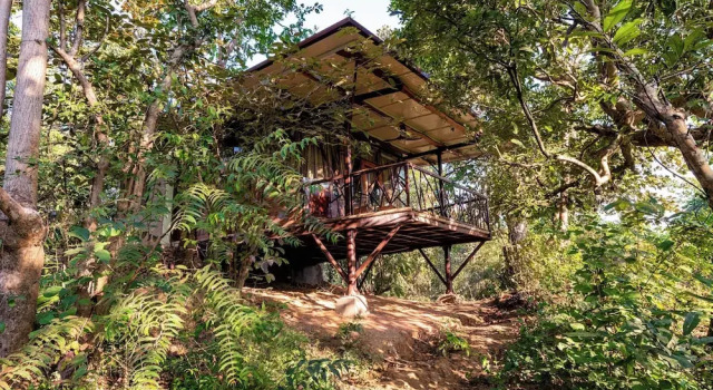 Коттедж Deluxe Kanha Jungle Camp