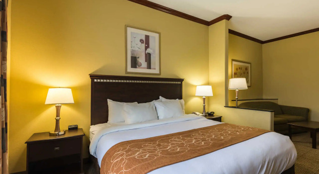 Люкс Comfort Suites Galveston Cruise Port Area - Beachside