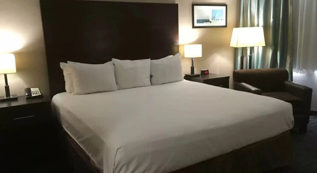 Двухместный номер Standard Radisson Hotel Winnipeg Downtown
