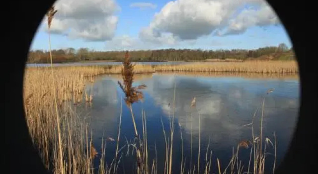 Alddiel B&B, Prenota Bed & breakfast Leeuwarden Frisia