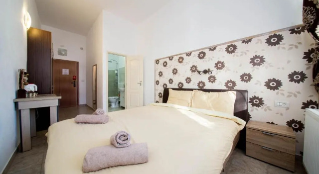 Standard huone Boul Rosu Residence