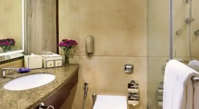 Двухместный номер Deluxe с видом на город Vivanta Bengaluru Residency Road