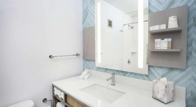 Двухместный полулюкс Hilton Garden Inn Evanston