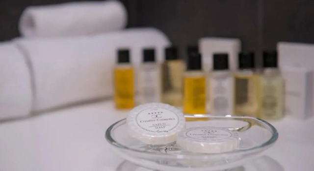 Трёхместный номер Deluxe Hotel Sana