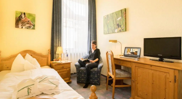 Номер Standard Solehotel Winterberg