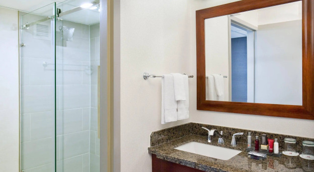 Двухместный номер Standard Marriott Park Ridge