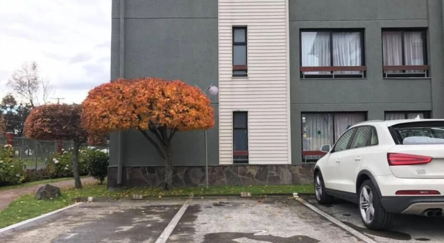 El Nido Villarrica Apartment, Rezervovat Apartmán Hotely v Araucanía s parkováním, Parkování