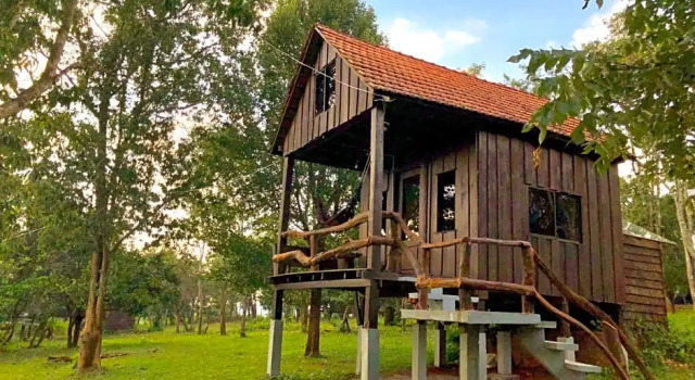 Номер Standard Nature Lodge