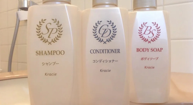 Номер Economy Hotel International House Osaka