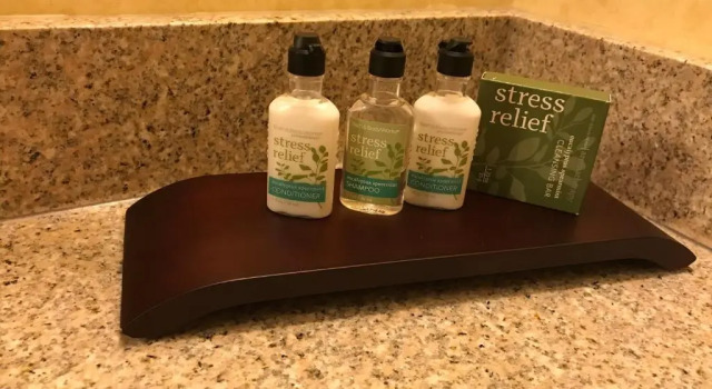Номер Standard с частичным видом на море Gateway Hotel & Suites Ocean City, an Ascend Collection Hotel