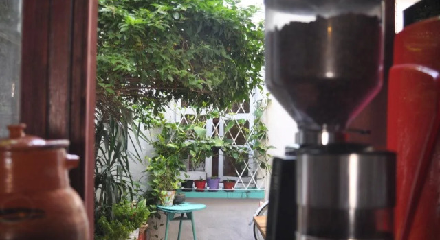 Amatle Cafe Organico & Hostel, Prenota Ostello Ostelli a Nuevo León, Ostello