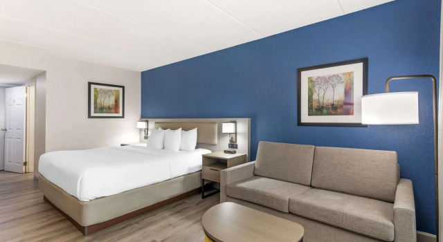 Двухместный номер Standard Comfort Inn Alpharetta-Atlanta North