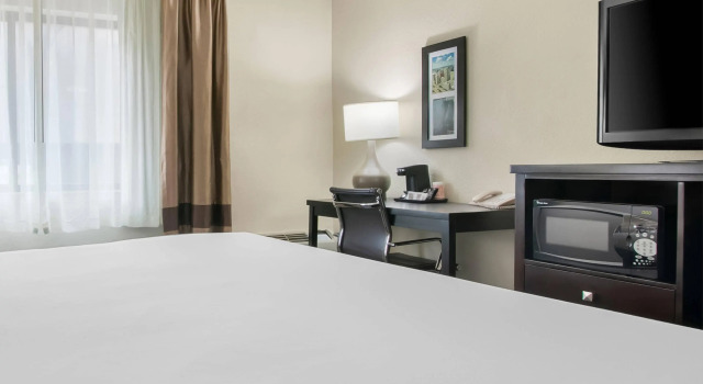 Двухместный номер Standard Comfort Inn Detroit Downtown