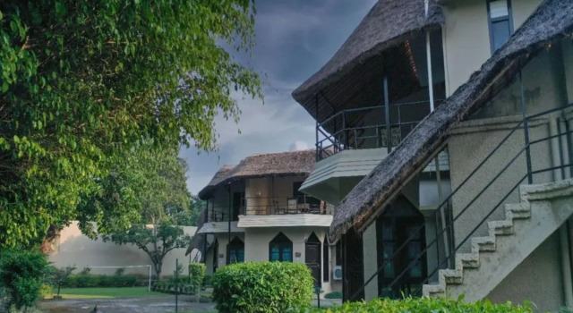 Cotton Tree, Book Hotel Nainital Uttarakhand