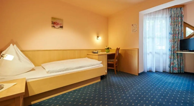 Одноместный номер Standard Hotel-Restaurant Schwaiger***