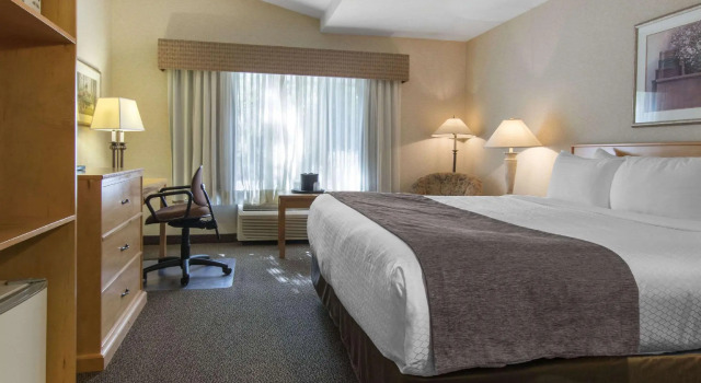 Двухместный номер Standard Flamingo Hotel