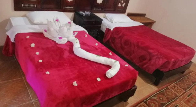 Номер Standard Ali Baba Hotel