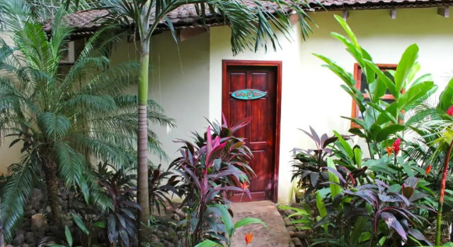 Двухместный номер Standard Tamarindo Backpackers