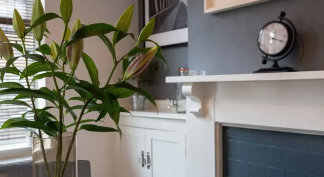 Ashton House, Luton - inhabit short stays