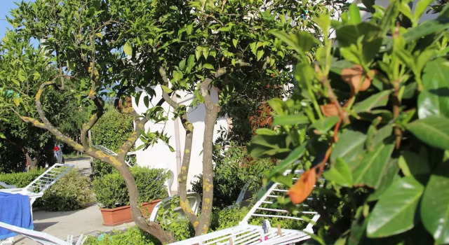 Номер Classic B&B Country House Il Grappolo